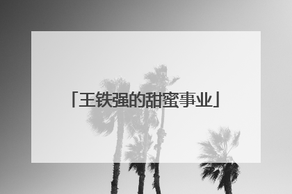 王铁强的甜蜜事业