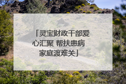灵宝财政干部爱心汇聚 帮扶患病家庭渡难关