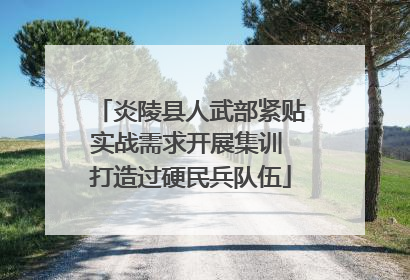 炎陵县人武部紧贴实战需求开展集训 打造过硬民兵队伍
