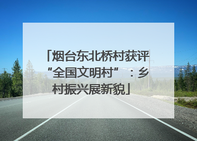 烟台东北桥村获评“全国文明村”：乡村振兴展新貌