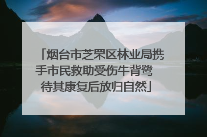 烟台市芝罘区林业局携手市民救助受伤牛背鹭 待其康复后放归自然