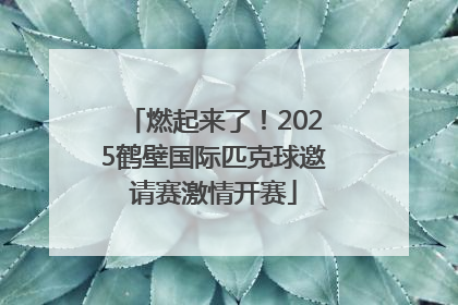 燃起来了！2025鹤壁国际匹克球邀请赛激情开赛