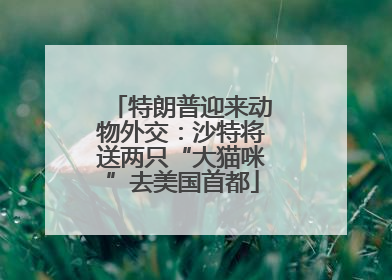 特朗普迎来动物外交：沙特将送两只“大猫咪”去美国首都