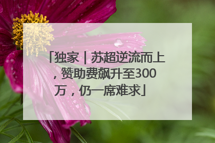 独家｜苏超逆流而上，赞助费飙升至300万，仍一席难求