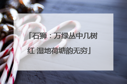 石狮：万绿丛中几树红 湿地荷塘韵无穷