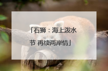 石狮：海上泼水节 再续两岸情