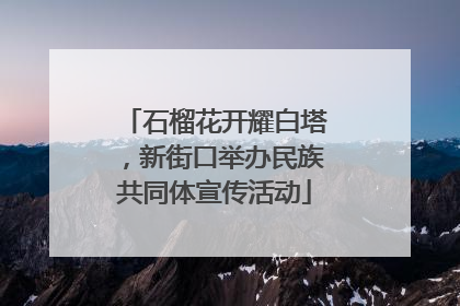 石榴花开耀白塔，新街口举办民族共同体宣传活动