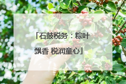 石鼓税务：粽叶飘香 税润童心