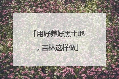 用好养好黑土地，吉林这样做