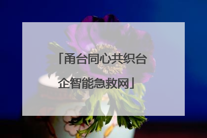 甬台同心共织台企智能急救网