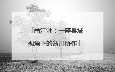 甬江潮：一座县域视角下的浙川协作