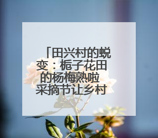 田兴村的蜕变：栀子花田的杨梅熟啦 采摘节让乡村热闹起来