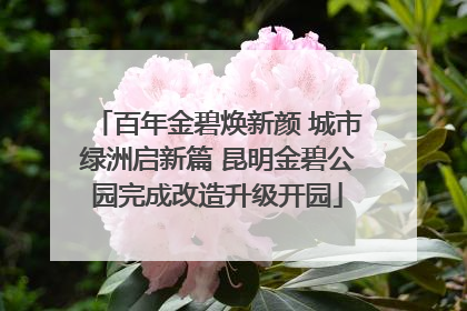 百年金碧焕新颜 城市绿洲启新篇 昆明金碧公园完成改造升级开园