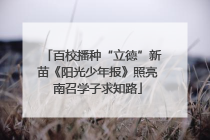 百校播种“立德”新苗《阳光少年报》照亮南召学子求知路