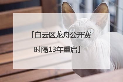 白云区龙舟公开赛时隔13年重启
