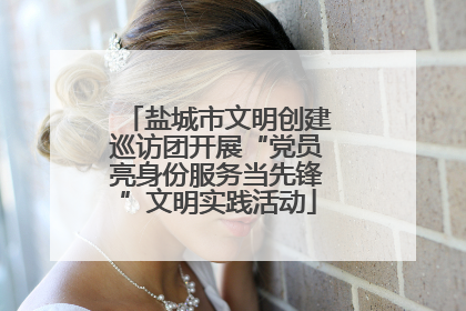 盐城市文明创建巡访团开展“党员亮身份服务当先锋”文明实践活动