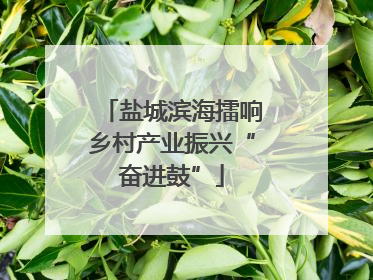 盐城滨海擂响乡村产业振兴“奋进鼓”