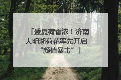 盛夏荷香浓！济南大明湖荷花率先开启“颜值暴击”