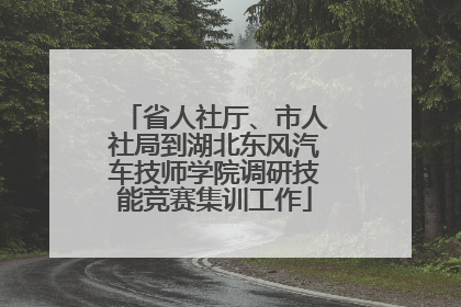 省人社厅、市人社局到湖北东风汽车技师学院调研技能竞赛集训工作