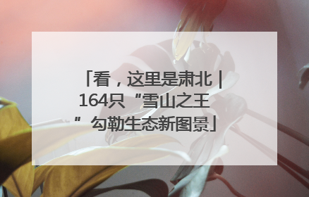 看，这里是肃北｜164只“雪山之王”勾勒生态新图景