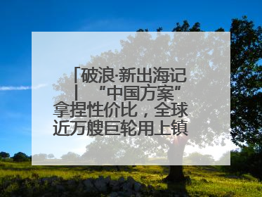 破浪·新出海记丨 “中国方案”拿捏性价比，全球近万艘巨轮用上镇江“节能桨”