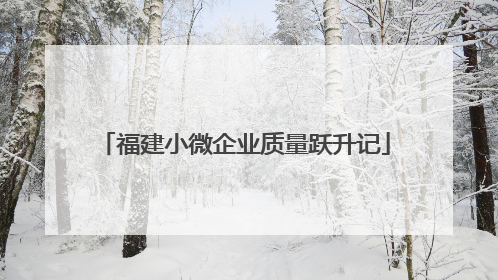 福建小微企业质量跃升记