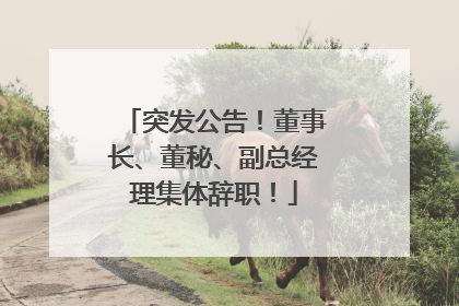 突发公告！董事长、董秘、副总经理集体辞职！