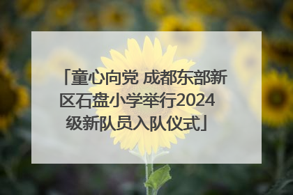 童心向党 成都东部新区石盘小学举行2024级新队员入队仪式