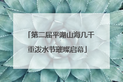 第二届平湖山海几千重泼水节璀璨启幕