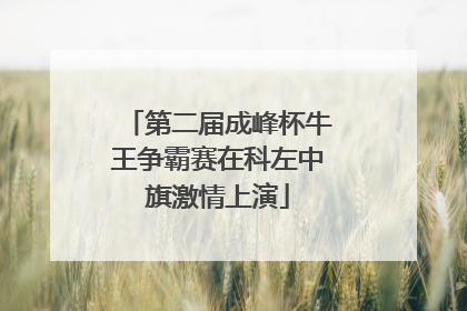 第二届成峰杯牛王争霸赛在科左中旗激情上演