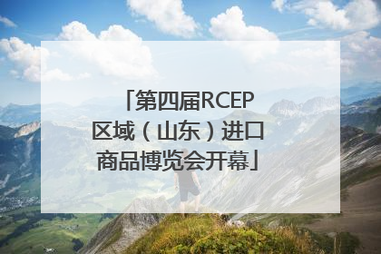 第四届RCEP区域（山东）进口商品博览会开幕