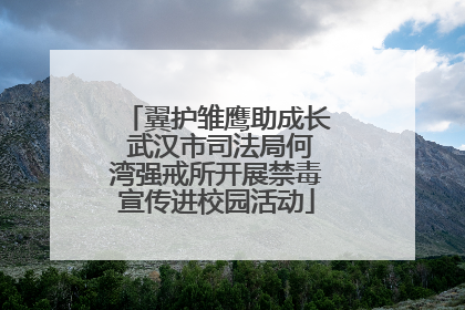 翼护雏鹰助成长 武汉市司法局何湾强戒所开展禁毒宣传进校园活动