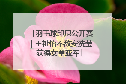 羽毛球印尼公开赛｜王祉怡不敌安洗莹 获得女单亚军