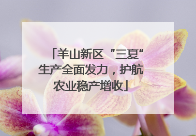 羊山新区“三夏”生产全面发力，护航农业稳产增收
