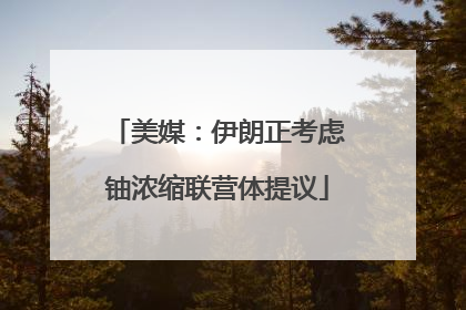 美媒：伊朗正考虑铀浓缩联营体提议