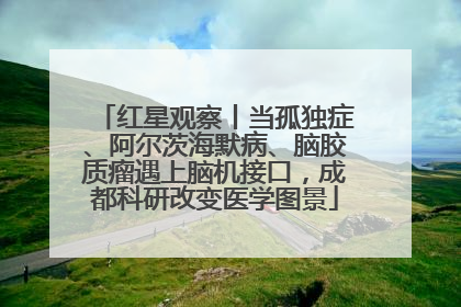 红星观察丨当孤独症、阿尔茨海默病、脑胶质瘤遇上脑机接口，成都科研改变医学图景