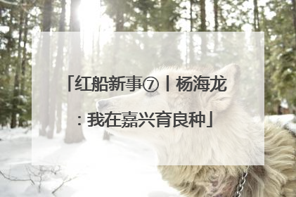 红船新事⑦丨杨海龙：我在嘉兴育良种