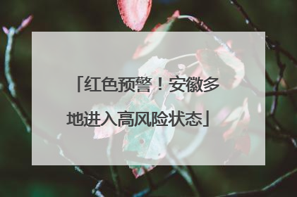 红色预警！安徽多地进入高风险状态