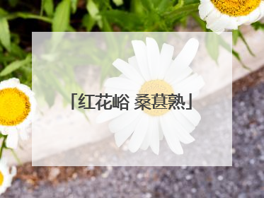 红花峪 桑葚熟