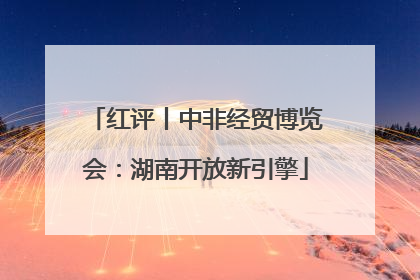 红评丨中非经贸博览会：湖南开放新引擎