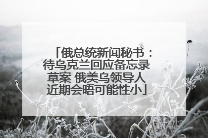 俄总统新闻秘书：待乌克兰回应备忘录草案 俄美乌领导人近期会晤可能性小
