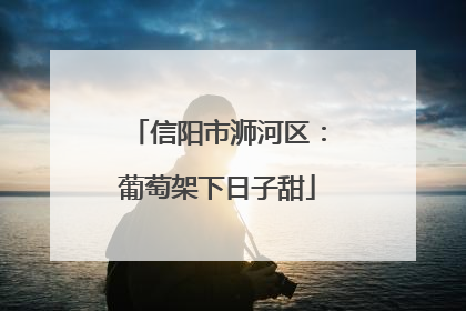 信阳市浉河区：葡萄架下日子甜