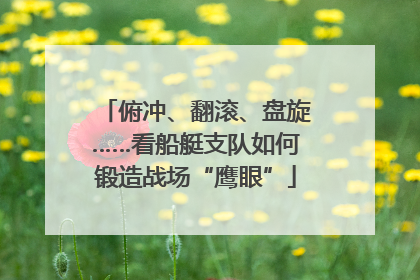 俯冲、翻滚、盘旋……看船艇支队如何锻造战场“鹰眼”