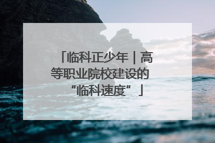 临科正少年｜高等职业院校建设的“临科速度”