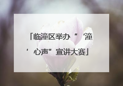 临潼区举办“‘潼’心声”宣讲大赛