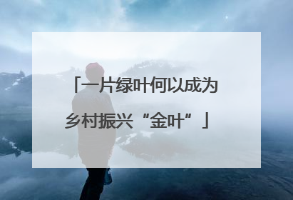 一片绿叶何以成为乡村振兴“金叶”