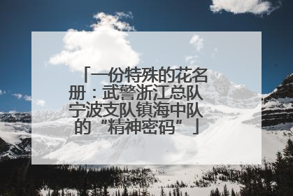 一份特殊的花名册：武警浙江总队宁波支队镇海中队的“精神密码”