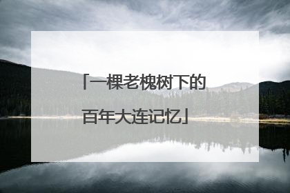 一棵老槐树下的百年大连记忆