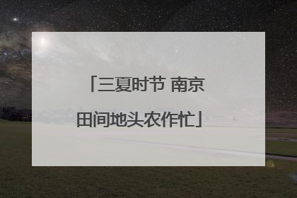 三夏时节 南京田间地头农作忙