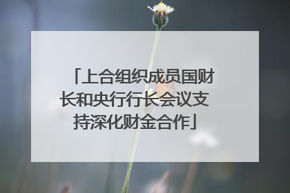 上合组织成员国财长和央行行长会议支持深化财金合作
